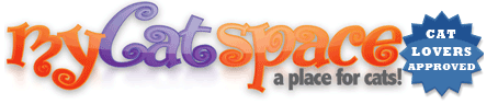mycatspace1